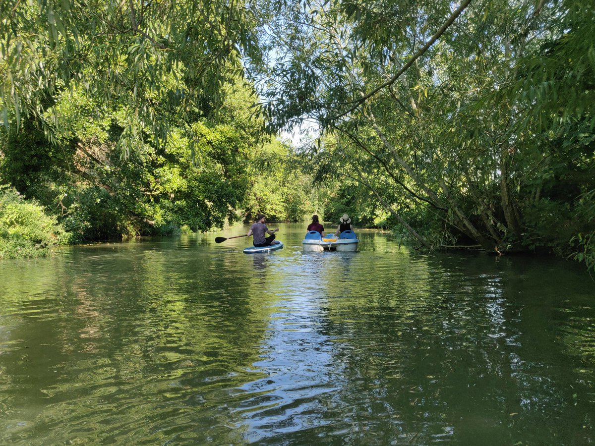 Claire Mitchell (@drcmitchell) on Twitter photo An excellent last day after 5 years <a href="/WarwickCAMDU/">Warwick CAMDU</a> . Thanks for the SUP-er send off! 🔬☕🖥️🚣🐕 An excellent last day after 5 years <a href="/WarwickCAMDU/">Warwick CAMDU</a> . Thanks for the SUP-er send off! 🔬☕🖥️🚣🐕
