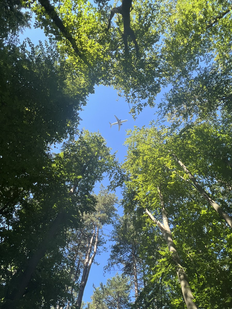 CiminoT's tweet image. Just like a Déja Vu in a forest in Belgium 
@TheLOSTFans @LostDharmaFan