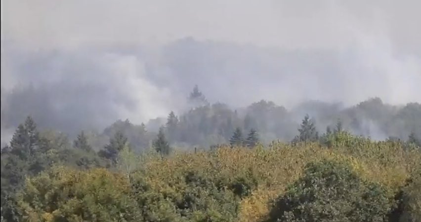 FrancoiseGatel's tweet photo. Après la #forêt de #Villecartier près de Fougères, le feu enflamme notre mythique forêt de #Broceliande.
Tout mon soutien aux pompiers, élus et bénévoles.
#BazougesLaPerouse #Paimpont https://t.co/hYMTszolRG