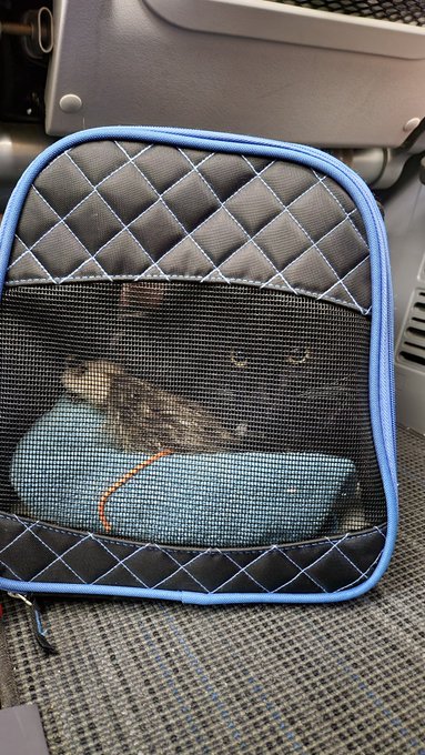 Joey &amp; I are headed home for a few days https://t.co/qrw80Giigz<a href="/tag/mommysgirl"class="tags"><span>#mommysgirl</span></a>