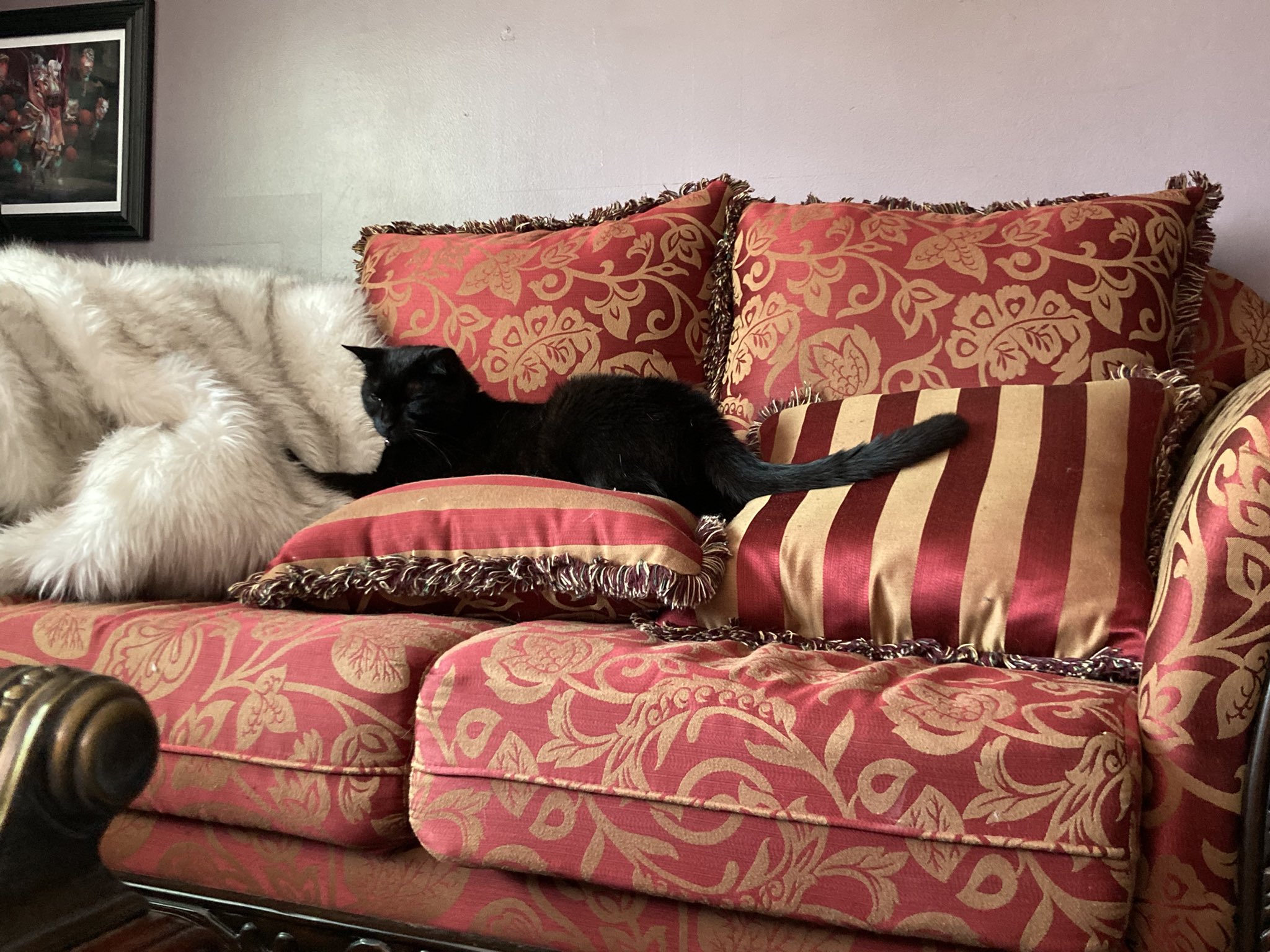 Insert trendy bandwagon topic with emojis here on Twitter "These are