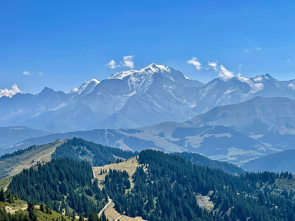 Patrick Martin tweet media