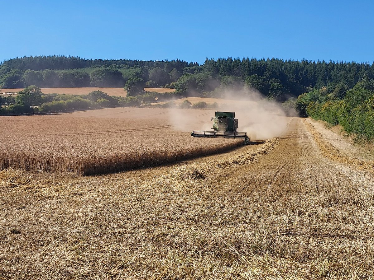 Having seen so many combine fires we gave our harvesting contractors <a href="/whatthreewords/">w3w CrypticChallenge</a> fir the entrances of all the fields they were harvesting and in the event of a fire they could direct the fire services in.
<a href="/yellowwelliesuk/">Farm Safety Foundation</a> <a href="/CXCSltd/">CXCS Agricultural Compliance</a> <a href="/healthandsafety/">Health+SafetyatWork</a> <a href="/WestMidsFire/">West Midlands Fire Service</a>