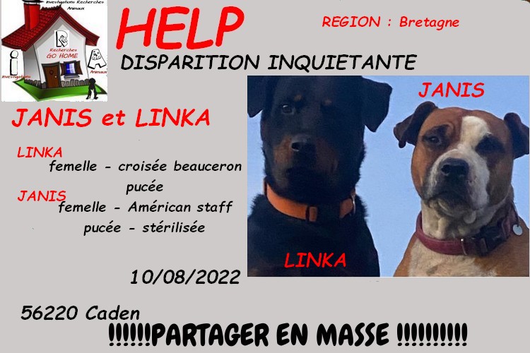 Kate23170's tweet image. merci de RT pour nous aider a retrouver JANIS et LINKA disparues a Caden 56220 le 10/08/2022 svp si infos : 06.27.17.31.34 
CONTACT FB : facebook.com/leslie.georgel…  ou MP à @Kate23170