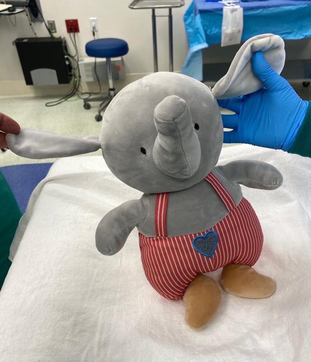 Joe DiMaggio Children's Hospital (@jdchospital) on Twitter photo Sofia, & her friend "Stuffy" the elephant, entered the ER <a href="/JDCHospital/">Joe DiMaggio Children's Hospital</a> with appendicitis. Dr. Lao performed a successful surgery, but noticed that Stuffy had Loose-EAR-itis & needed a special ear procedure! We're happy to report that both Stuffy & Sofia will make a full recovery! Sofia, & her friend "Stuffy" the elephant, entered the ER <a href="/JDCHospital/">Joe DiMaggio Children's Hospital</a> with appendicitis. Dr. Lao performed a successful surgery, but noticed that Stuffy had Loose-EAR-itis & needed a special ear procedure! We're happy to report that both Stuffy & Sofia will make a full recovery!