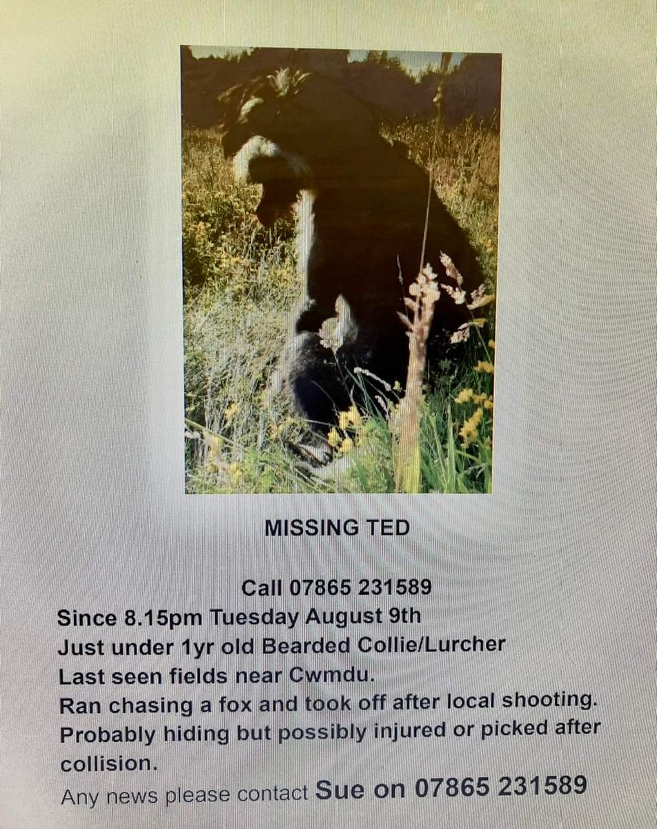 Llandeilo tweet media