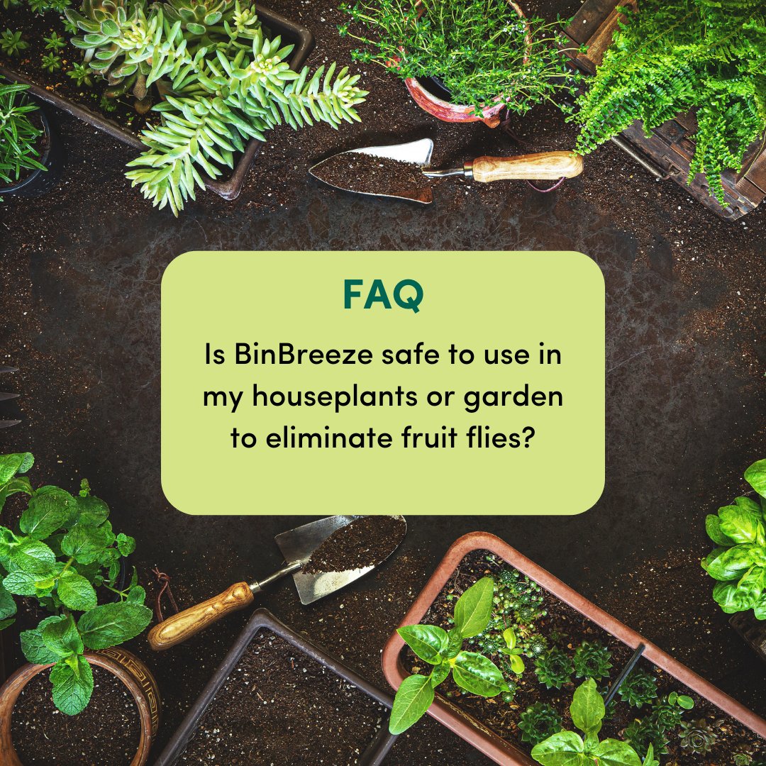 BinBreeze tweet media