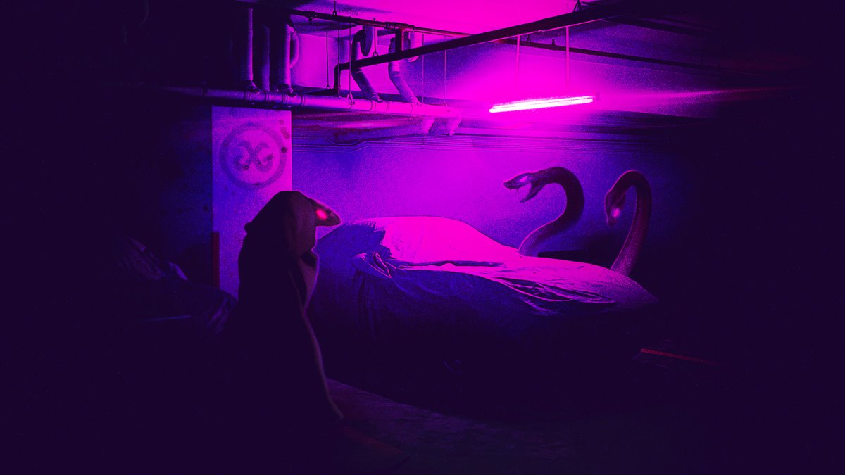 Saltzpyre 💀 tweet media