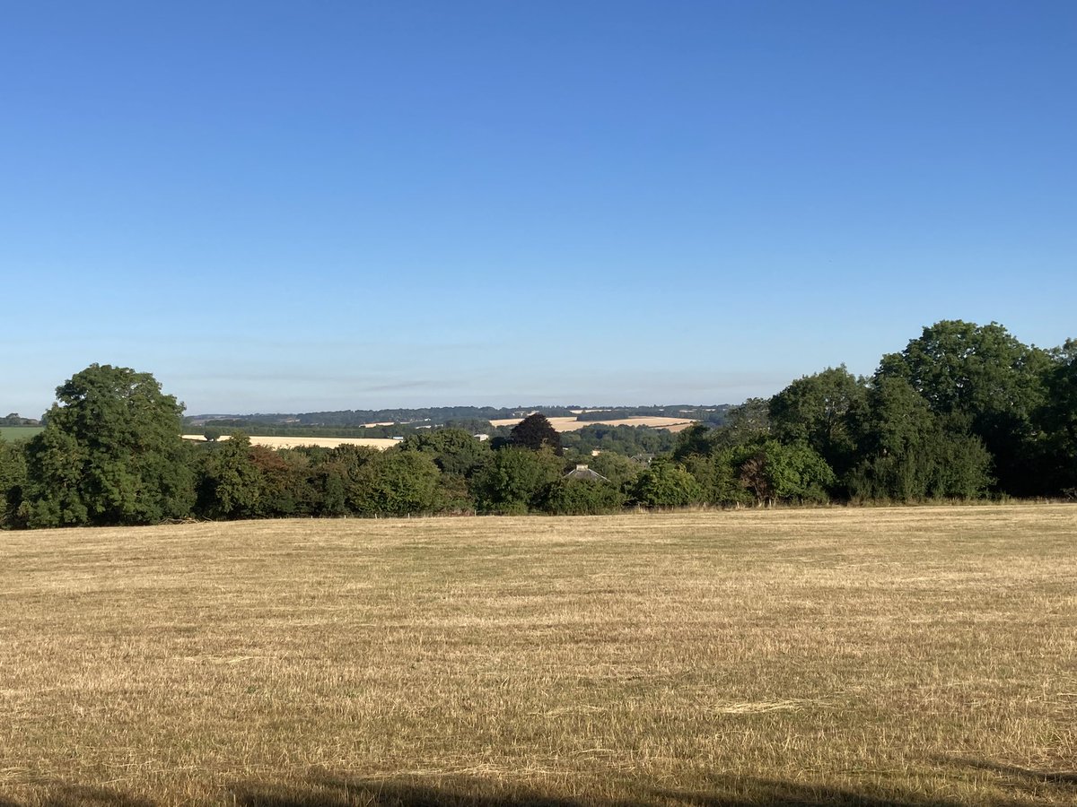 Bit late posting a glorious early morning <a href="/FarmRunnerUK/">Farm Runner</a> #rutland