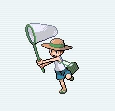 MestreCaco's tweet image. Juro que tentei com oq o jogo deu de parecido 🤣🤣🤣 #Bugcatcher #Pokemongo #pokemongobrasil #PoGO #pokemongorj #pokemongobr