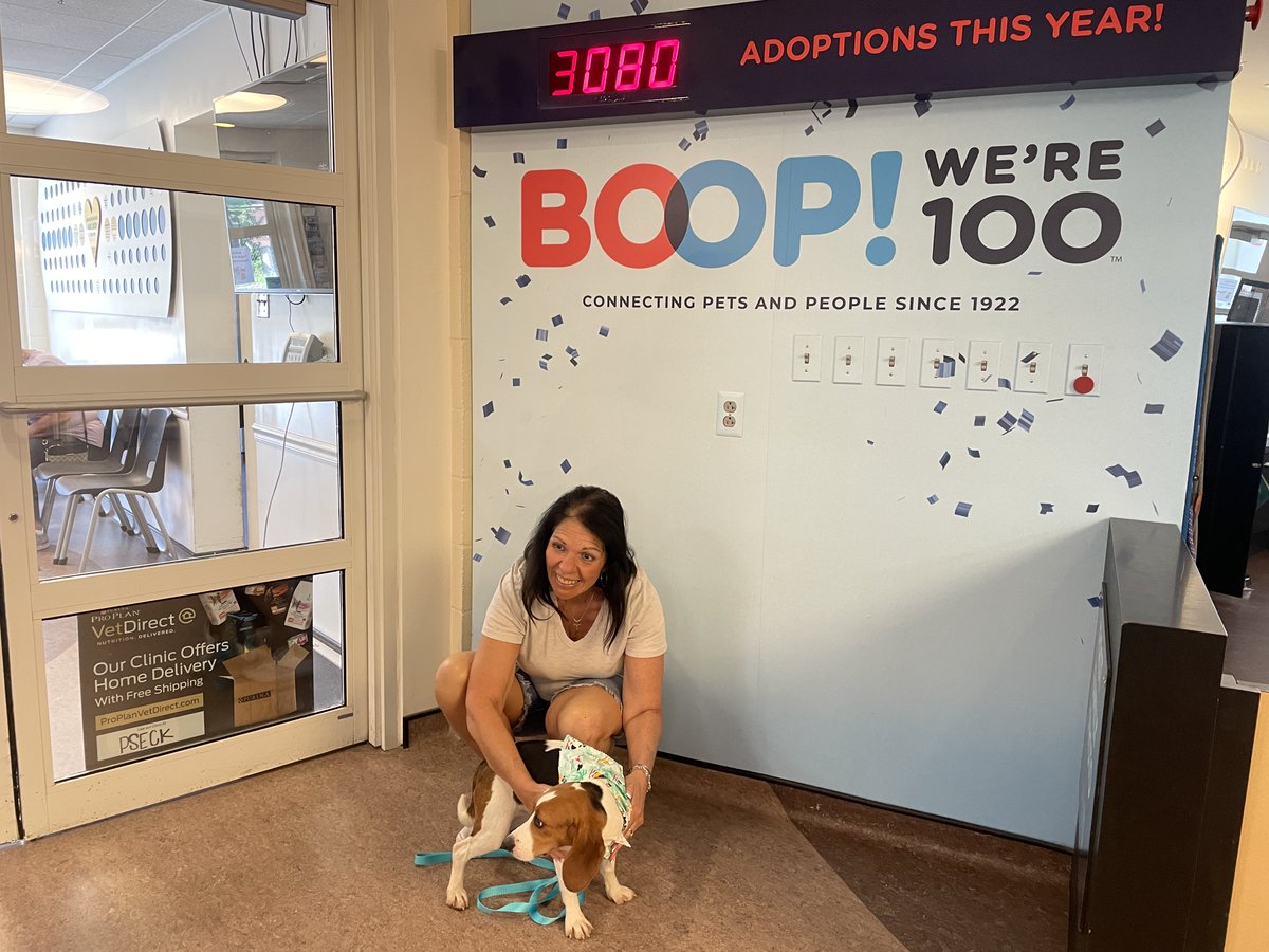 Adoption Day! Several rescued beagles are on their way to new homes. The <a href="/APAofMO/">APA Adoption Center</a> and <a href="/HumaneSociety/">Humane World for Animals</a> helped make it possible. There are more beagles and other pets up for adoption still. Learn more here. specne.ws/ZmqmKX #envigobeagles #RescueDogs