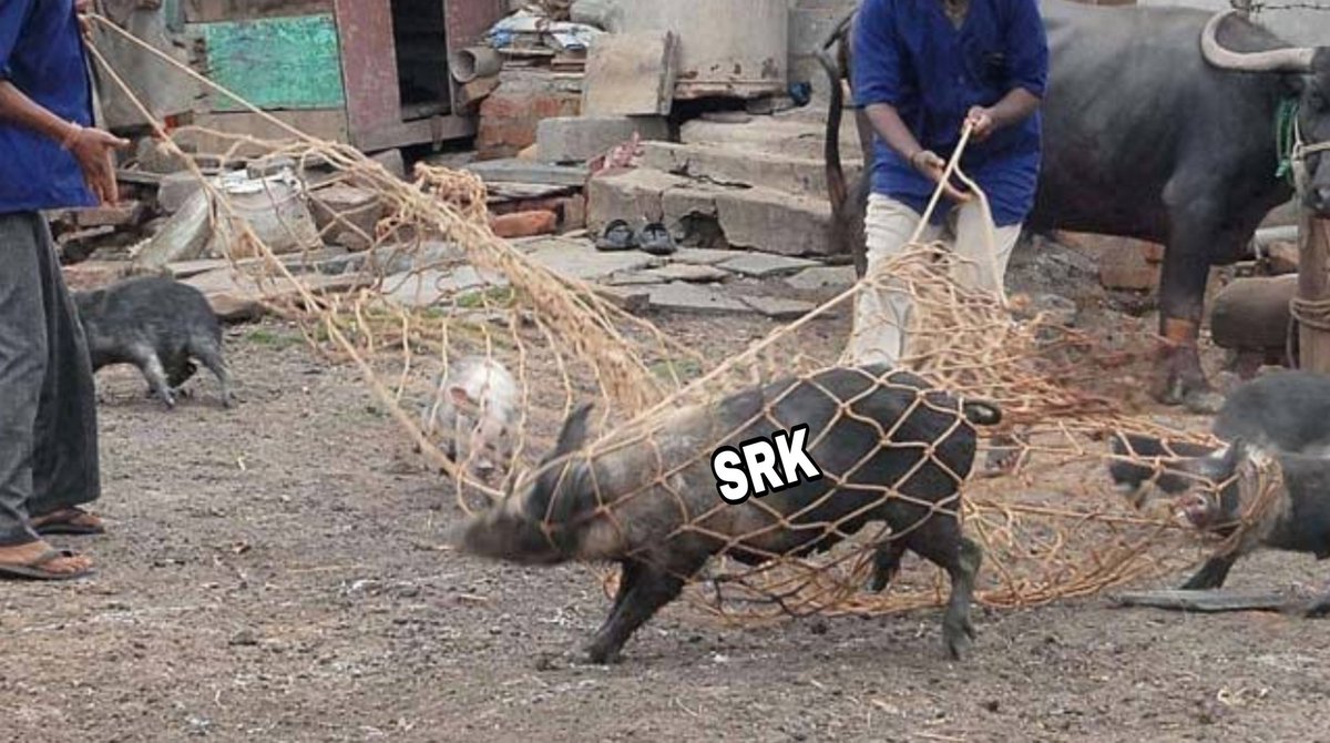 IBeingPratik1's tweet photo. Well done Salmaniacs.. https://t.co/cMEd0dzoBw