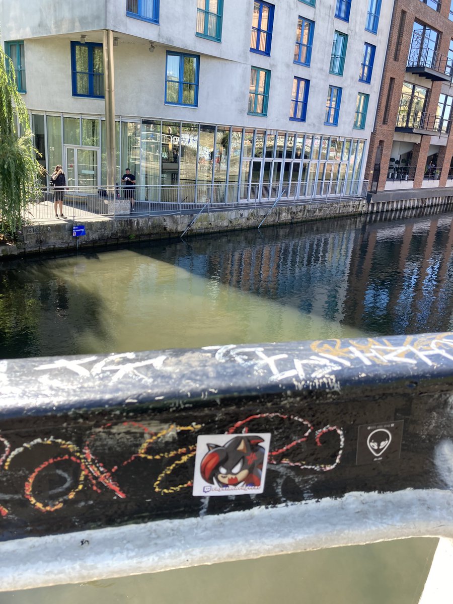 Rhys The Hedgecat tweet media