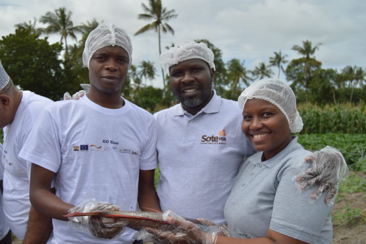 Hamisi Mohamed magisu (@hmagisu) on Twitter photo 