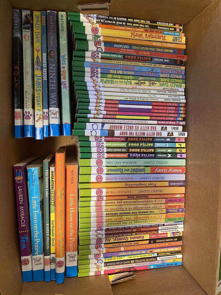 Ms_DeGroff's tweet photo. What am I most excited for in my first classroom you ask? A perfectly organized and sorted library 📚🥹😍 https://t.co/YWhSUUYpI9