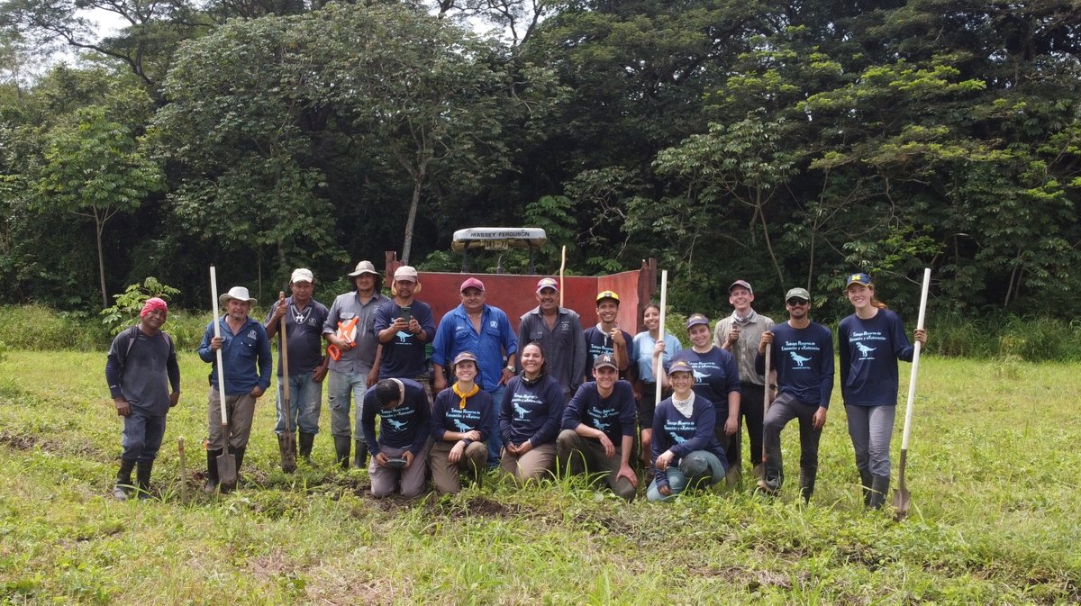 What a way to spend a Monday morning! Together with #SINAC, the Capuchins at Taboga crew aided in a reforestation project in the Taboga Forest Reserve, planting 169 trees representing at least 15 different native species. 🌳🐒 <a href="/ACGuanacaste/">ACG</a> #conservation #growingourforest