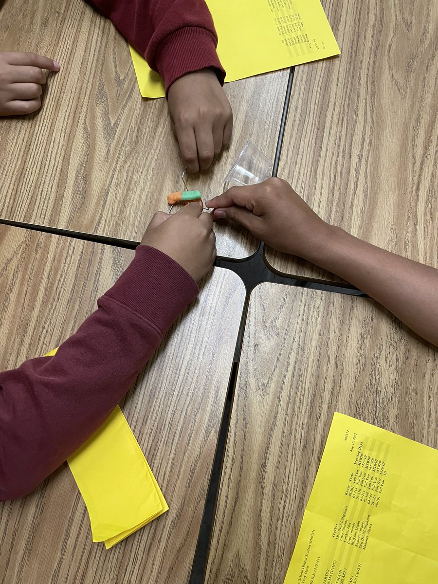 JanaForaker's tweet photo. First day of 7th grade civics- my @IMS_Indians had to work cooperatively with their groups to โSave Samโ, building those foundational team skills. #CCPSFamily #ccpsfirstday @collierschools https://t.co/3J0kVWdD9P