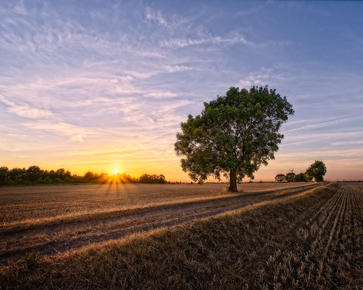 JemBulbrook's tweet photo. It's so dry out there in the Fen
#thefens @chrispage90 #Chatteris https://t.co/XY8hbh2K6v