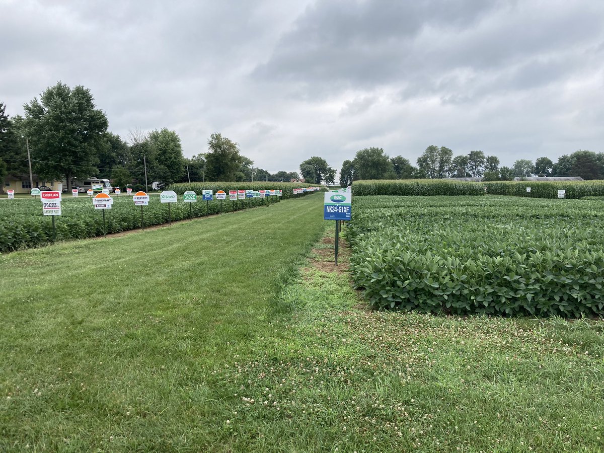 riehltimeagron2's tweet photo. Day 3 afternoon CAPS with region5 @CoAllianceCoop at the Pershing answer plots #winfield Thanks for including #NK https://t.co/Io8Y2HT8S7