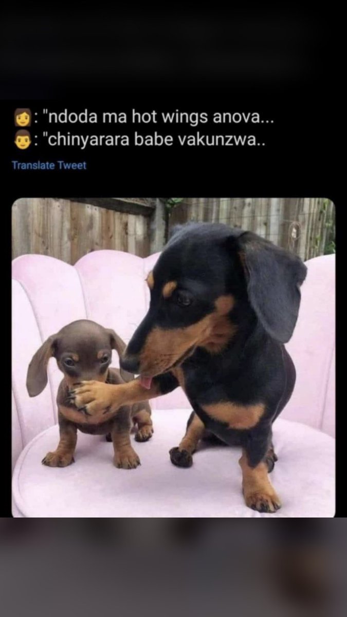 chimoko_rue's tweet photo. @DillenMasawi https://t.co/5kqf9j9UST