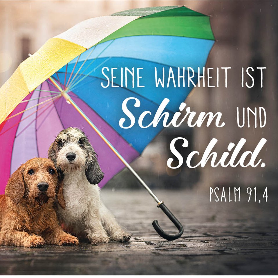 Jesusliebtdich's tweet photo. Mein #Glaube nimmt mir nicht dieProbleme,die schwierigenUmstände oder die tiefen Täler d.Lebens. Aber ich wache jeden #Morgen mit d. inneren #Klarheit auf,die ich schon in d. #Bibel in Psalm 91,4 finden kann.
Gottes #Treue gibt mir #Deckung, sie ist mein #Schild,der mich schützt. https://t.co/cTTrEdZIRd
