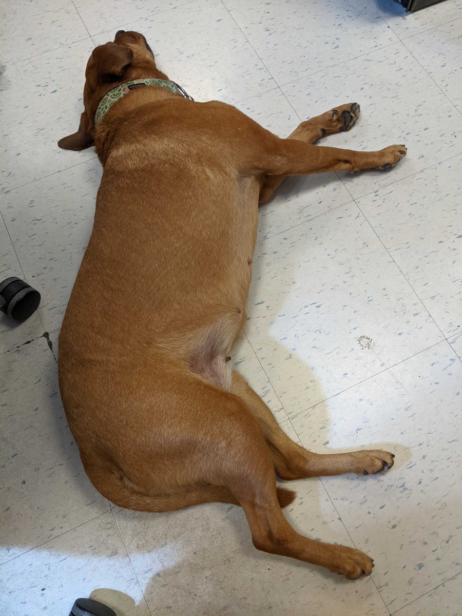 Katz Lab tweet media