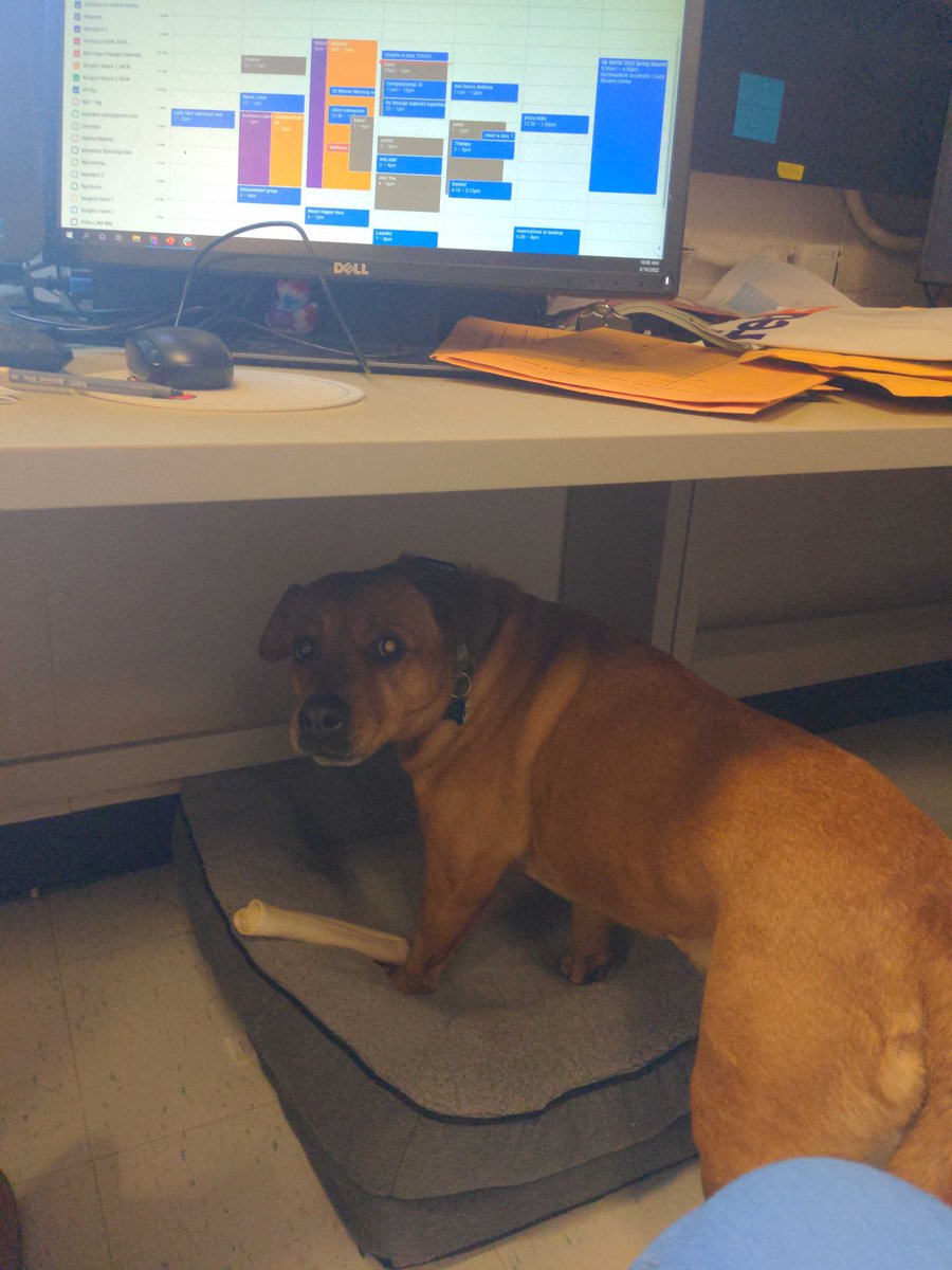 Katz Lab tweet media