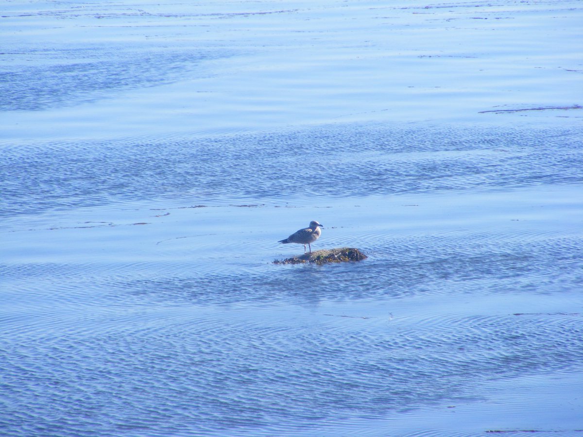 harry___moore_'s tweet image. My first set of photos on an actual camera ft @rabeka02  
It’s so beautiful over here in Northern Ireland 

#photography #NorthernIreland #fujifilm