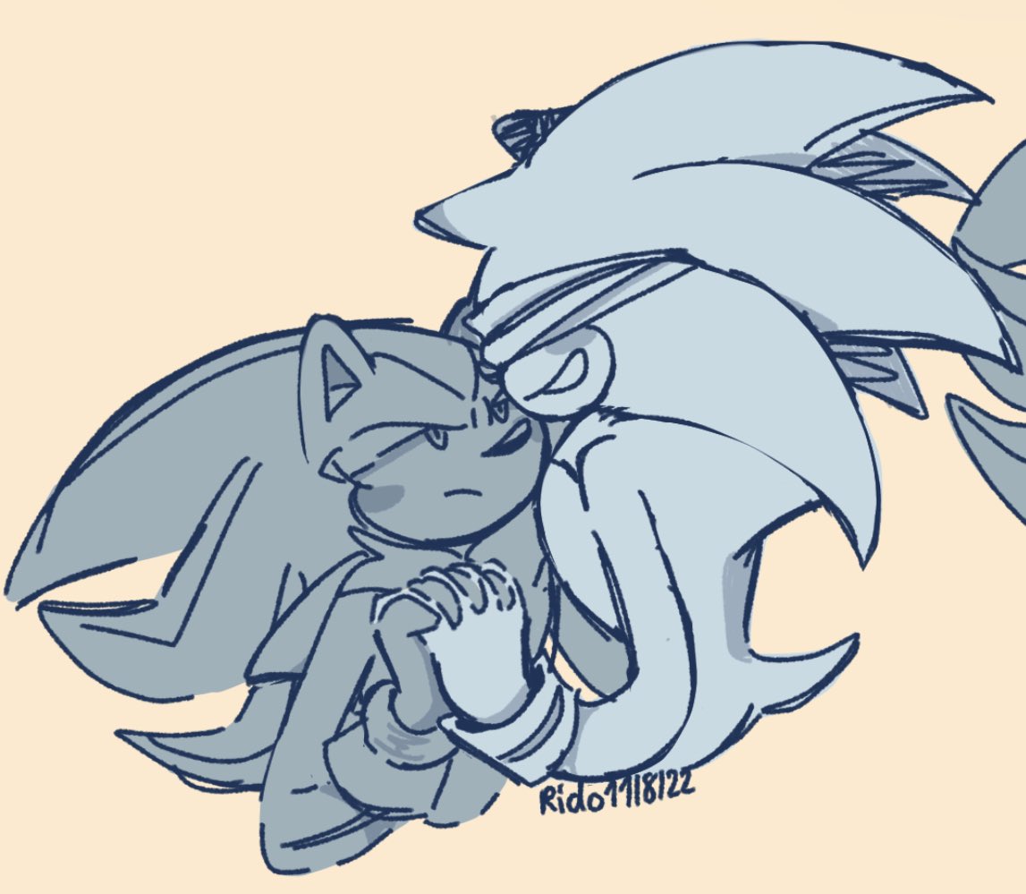 Rido on X: Be my eyes, and i'll be your voice. I remember a fanfic about  shadow being mute and sonic being blind [ #sonadow ]   / X