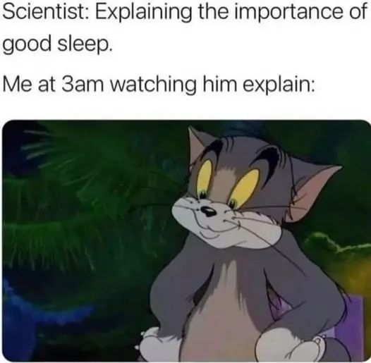 WholesomeMemes (@wholesomememe) on Twitter photo 