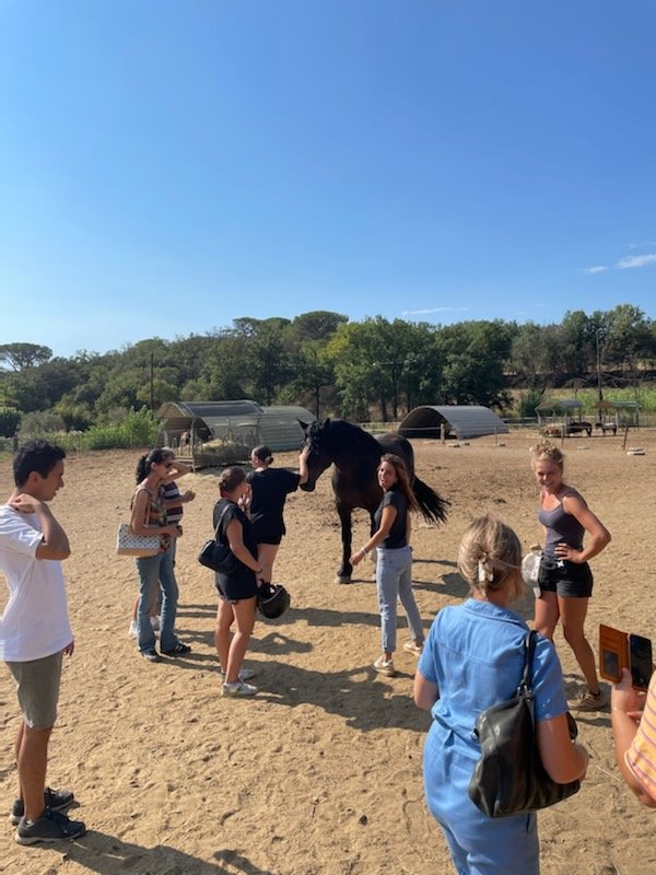 2️⃣ des 8️⃣ candidats qui ont participés à la découverte des #métiers d'ouvrier agricole (h/f) et de moniteur d'équitation (h/f) au #ranchdelamene <a href="/grimaudtourisme/">Grimaud Tourisme</a> démarrent une immersion pour confirmer leur orientation. Avec #poleemploiGolfedeSaintTropez #TousMobilise
