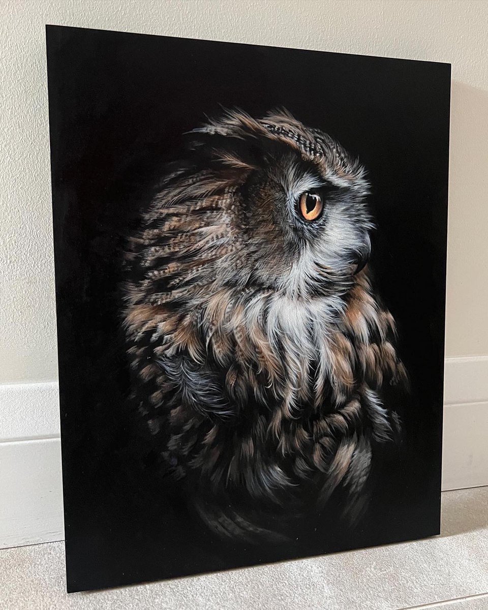 ‘Merlin’
11x14”
Acrylic on wood panel

This beauty is about to be varnished and then will be looking for a permanent perch, if you are interested in this artwork please message me for details 💌 

#owlpainting #owl #birdart #wildlifeart