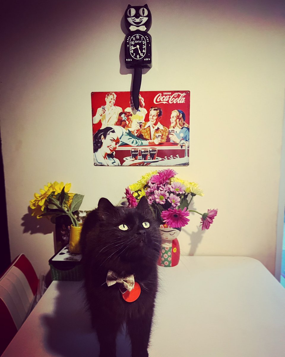 BintyMustard's tweet photo. Sherri met Felix ⏰ 🐾🐈‍⬛🖤#KitCatClock https://t.co/zoy9X891lM