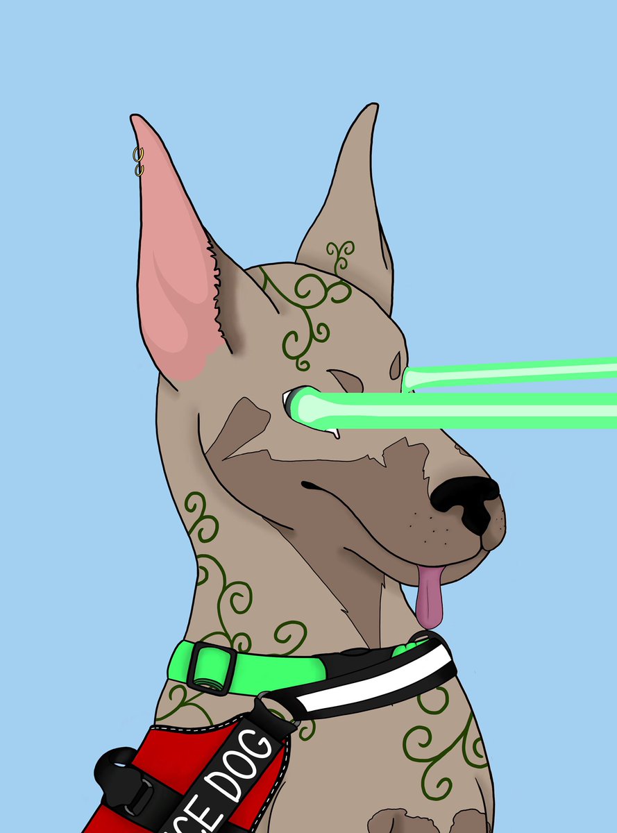 Doberman Academy tweet media