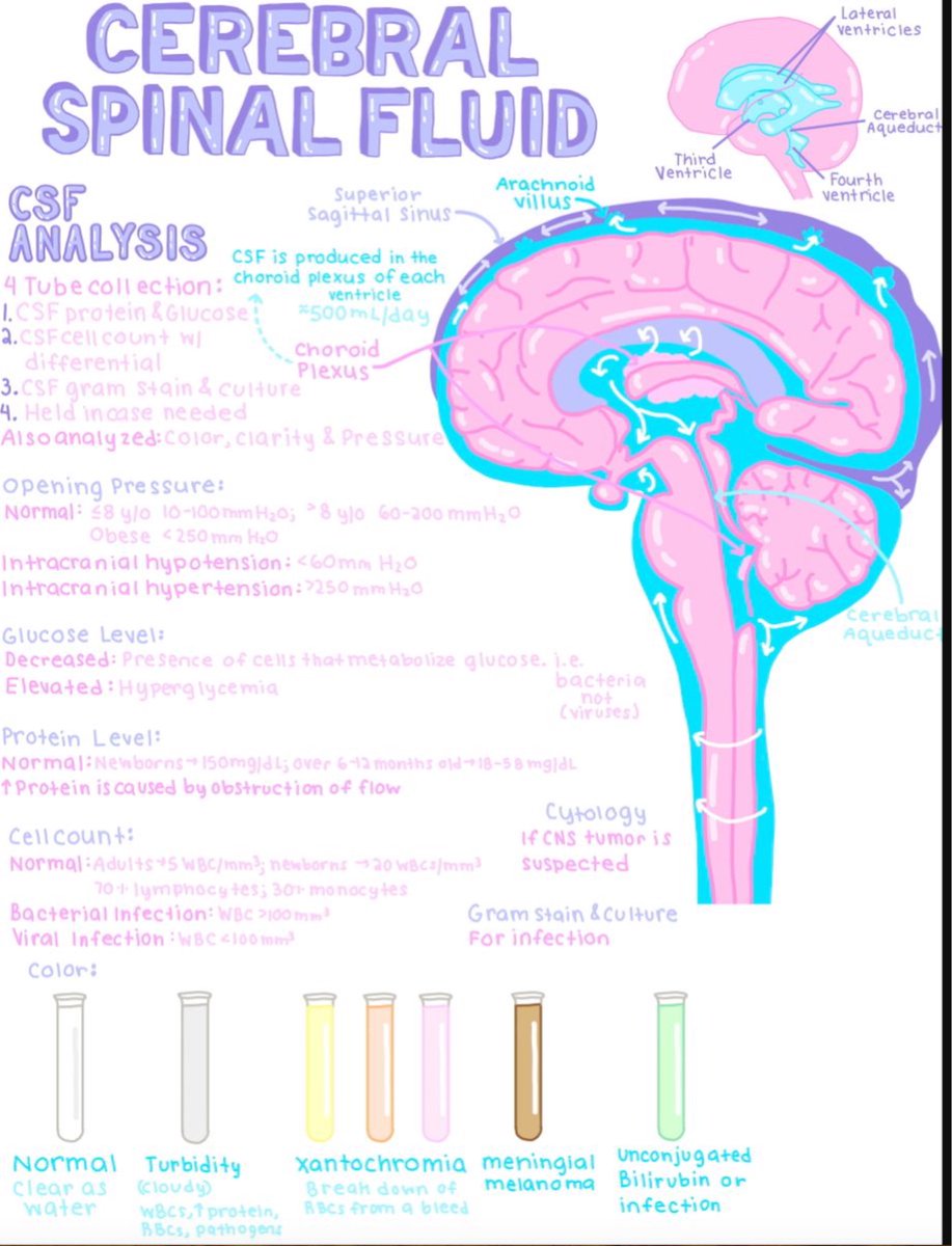 Csf Breakdown Table Csf Fluid Analysis Chart