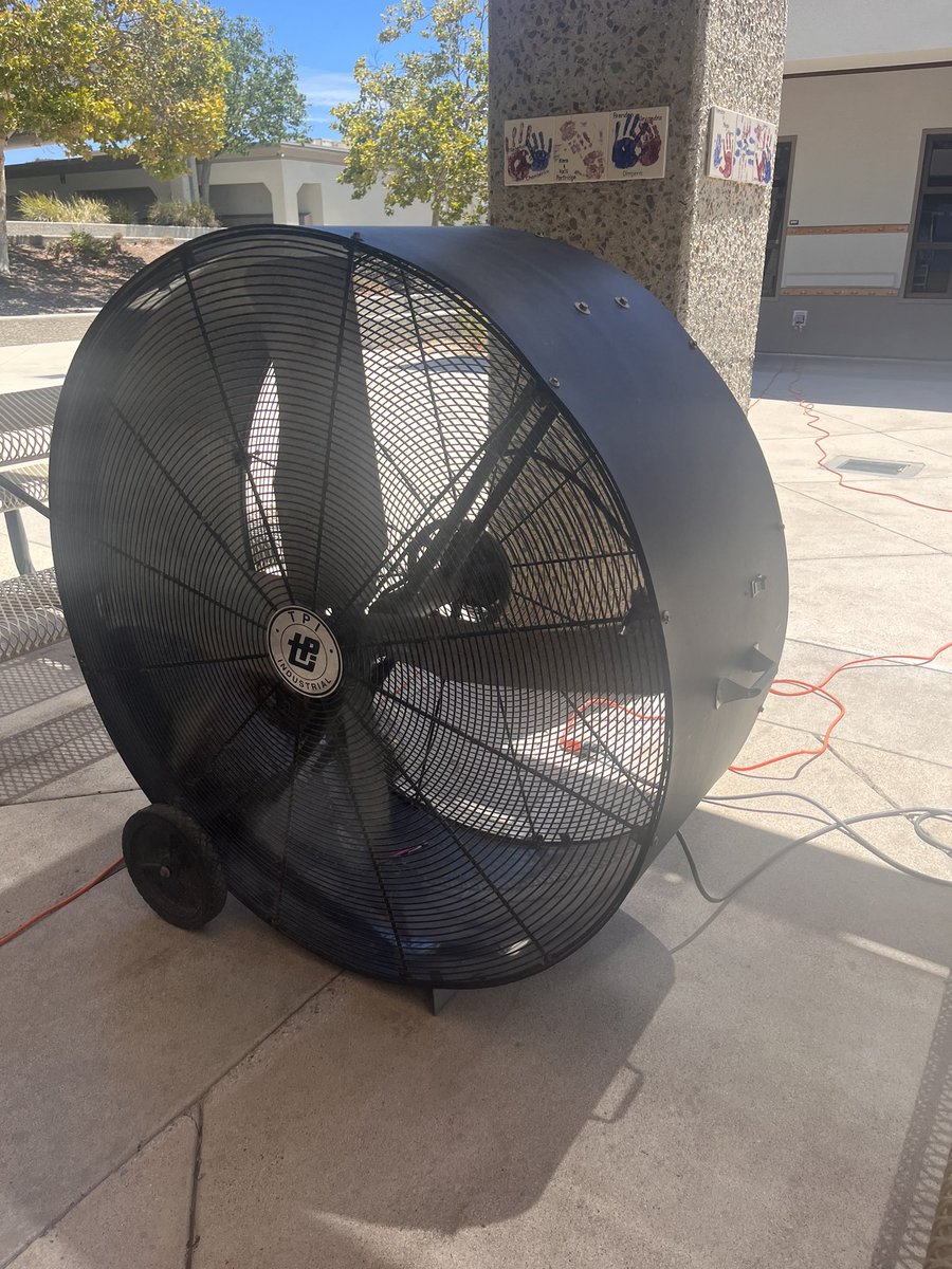 Stephanie Avera tweet media