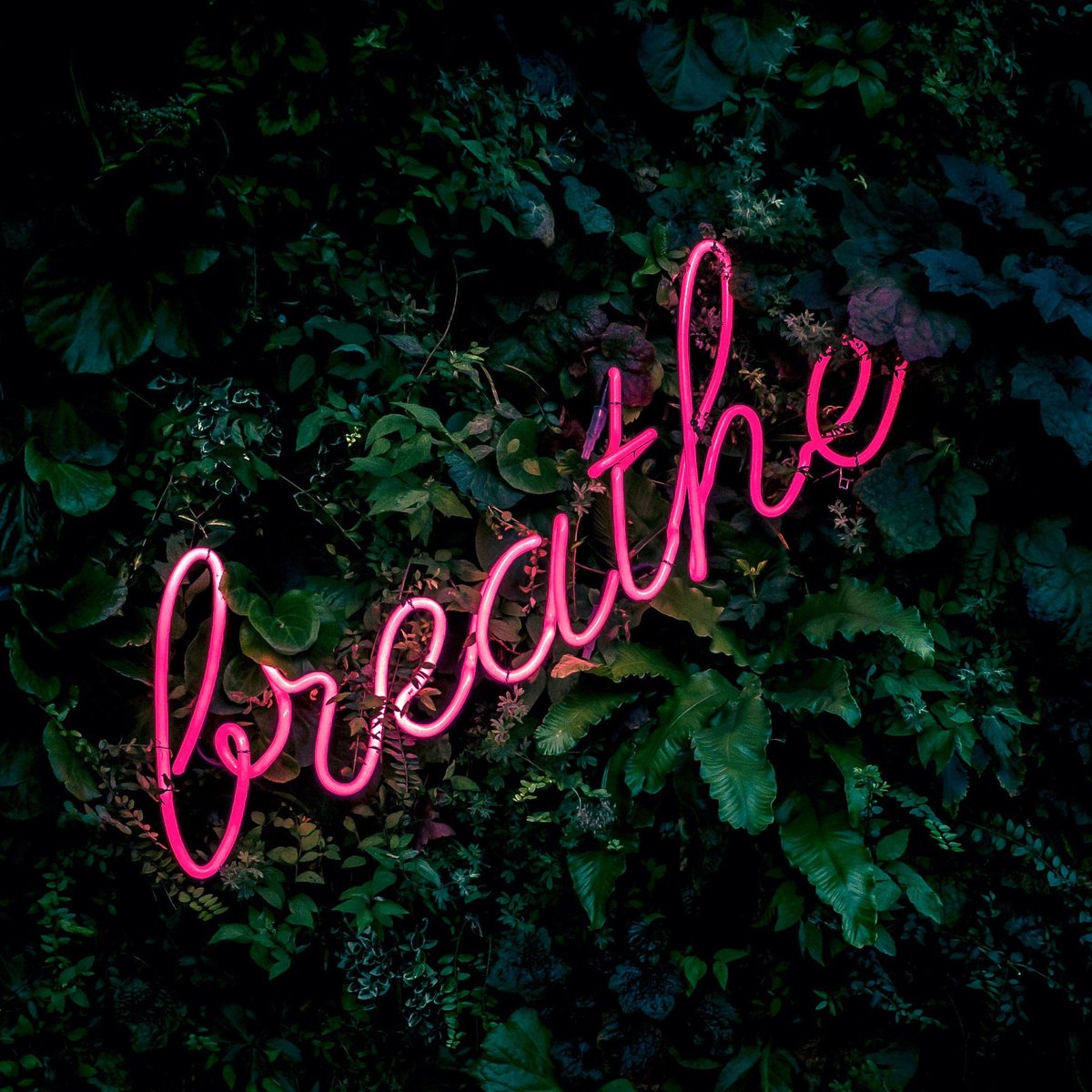 healing3oflife's tweet photo. KEEP CALM and CONCEIVE Refill, Fertility support, Endocrine support, Cortisol Balance, Hormones Balance, Calming tea, relaxing tea https://t.co/76hmk8cAb2 #SupportBlackBusiness #BlackOwnedBusiness #FertilityTeas #etsyshop #RelaxTheMind https://t.co/Jx3e3FCDoD