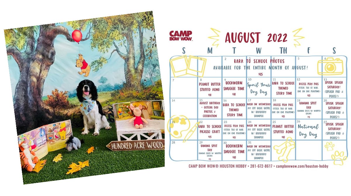 🐶Camp Bow Wow Houston Hobby is having Bark to School photos all month long! Look at all the fun scheduled for the month of August.
Camp Bow Wow Houston-Hobby
7803 Hansen Rd
Houston, TX 77061
(281) 672-8617
campbowwow.com/houston-hobby/
