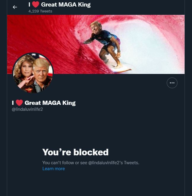 firewoulfe's tweet photo. @DeboraG52919794 @lindaluvinlife2 @America1stLegal Dumbass blocked me LOL! https://t.co/W4dWxuUFuW