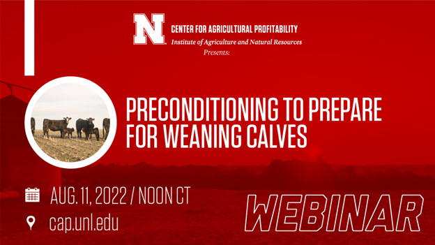 RandySaner's tweet photo. Producers are early weaning calves to have more pasture available for cows. BeefWatch article on managing early weaned calves.  https://t.co/ISJCGwEr6H  There will also be a webinar Thursday August 11 on preconditioning calves and August 18 on early weaning calves. @UNLBeef https://t.co/6qZ9Cwp2jx