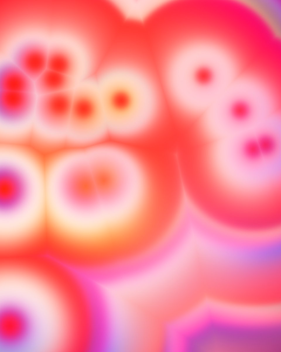 zachlieberman's tweet photo. soft rings flower power https://t.co/rne4oiMBFg