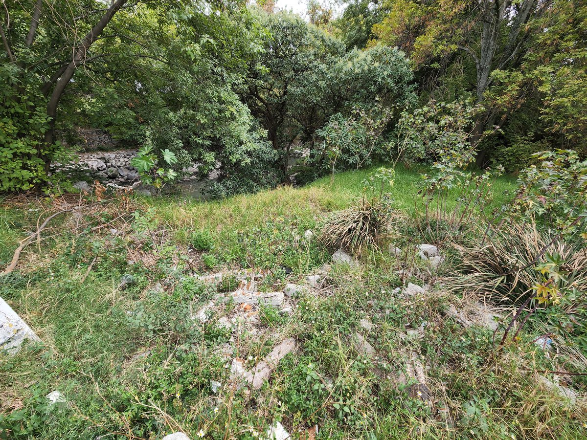 Hace tres años muchos ciudadanos nos propusimos limpiar la ribera del <a href="/RioSanFrancisco/">Río San Francisco</a> que está junto a la <a href="/conagua_mx/">Conagua</a> en Puebla, al día de hoy persiste el abandono ciudadano e institucional que lo llevó a su entubamiento.

El río no merece este trato.