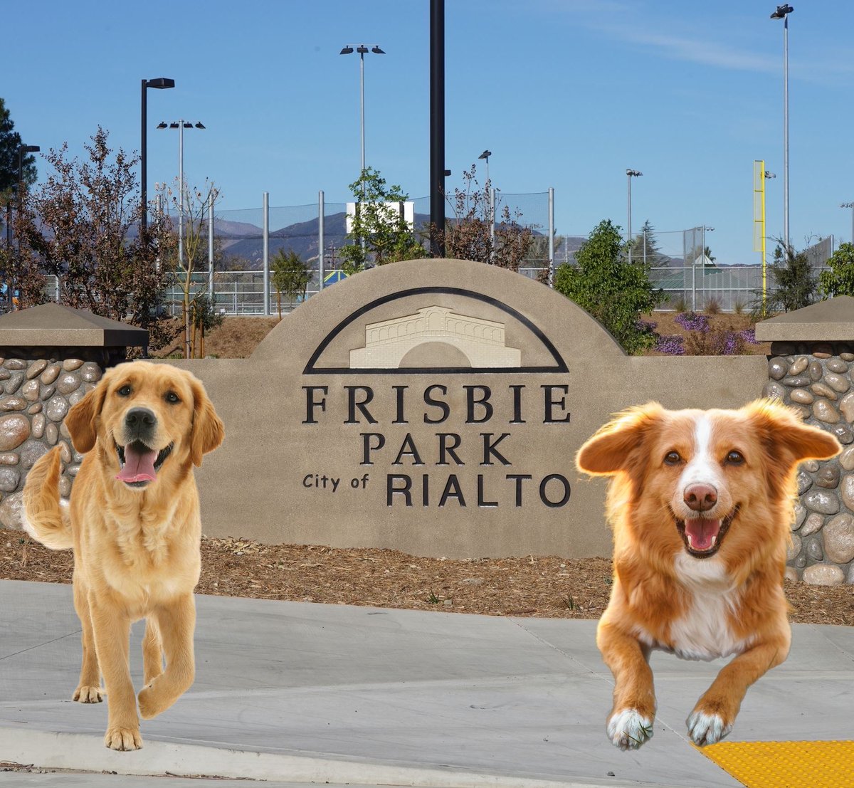 dogsvacay's tweet photo. A trip to Frisbie Park in Rialto, California! https://t.co/Dy65o2v77A
