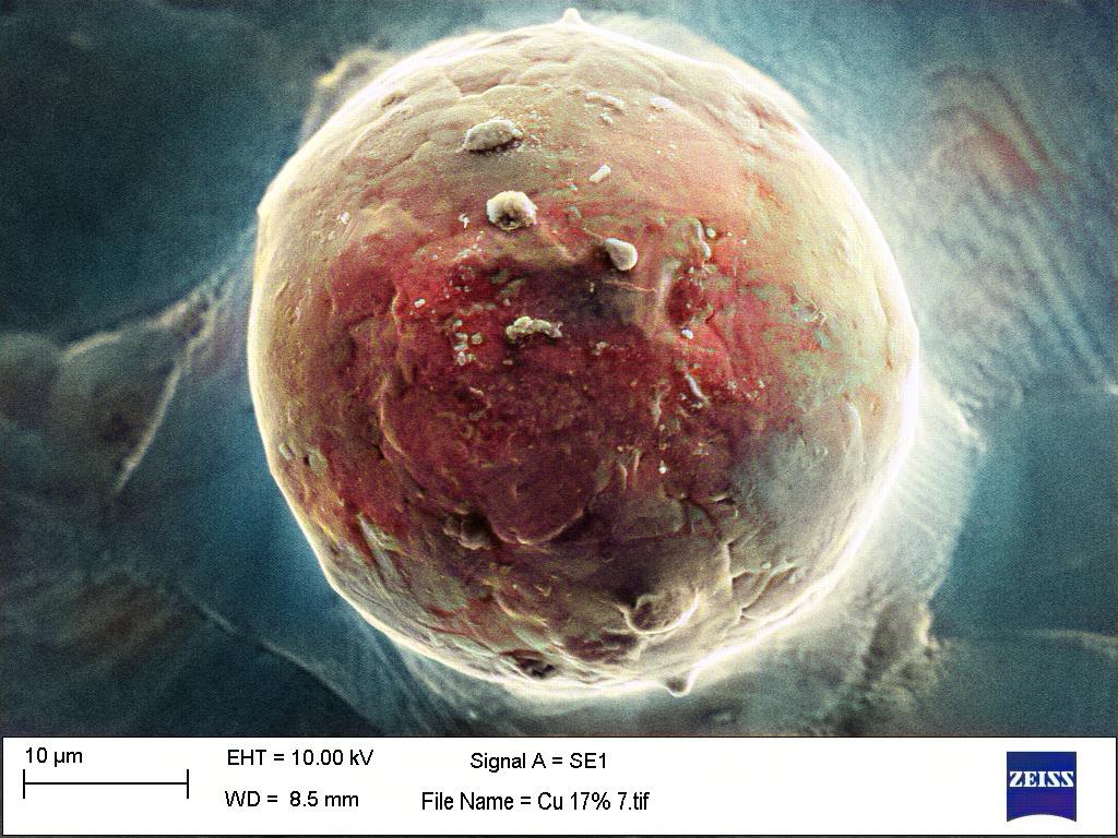 Dramatic picture I took today