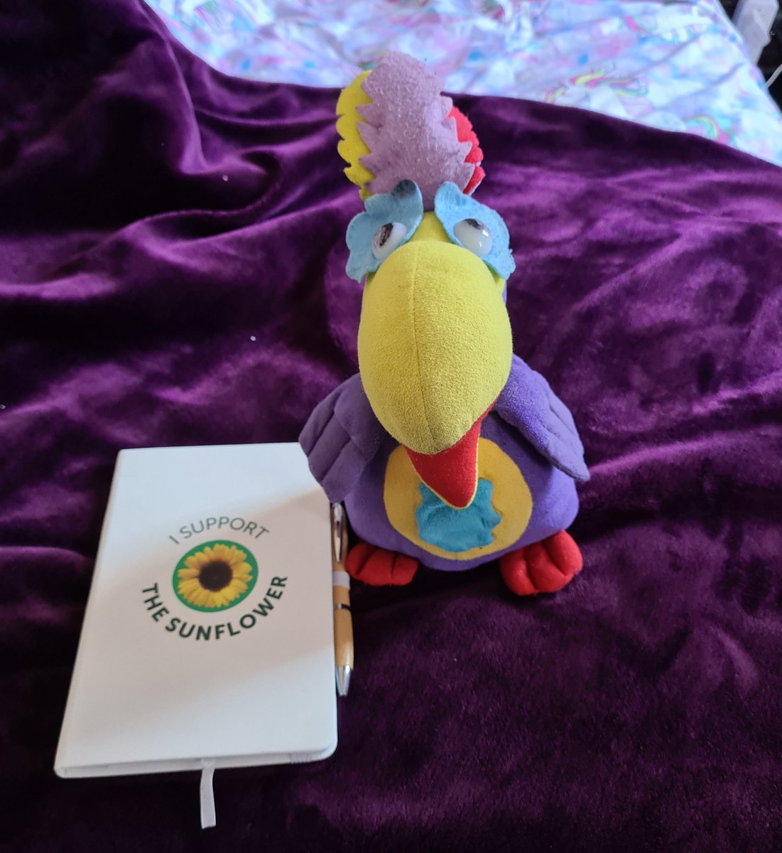 RLeBonTennant's tweet photo. Say hello to Mr. Cadbury's Postie Parrot! My Hidden Disabilities Sunflower notebook and pen finally came in the mail this morning and we're both very happy about this. ๐๐ฅณ๐๐ค๐๐๐๐๐ฆ๐ป
#MrCadburysParrot #WednesdayDelivery #HiddenDisabilitiesSunflower @sunflwrlanyards https://t.co/I1ch9k5zZv