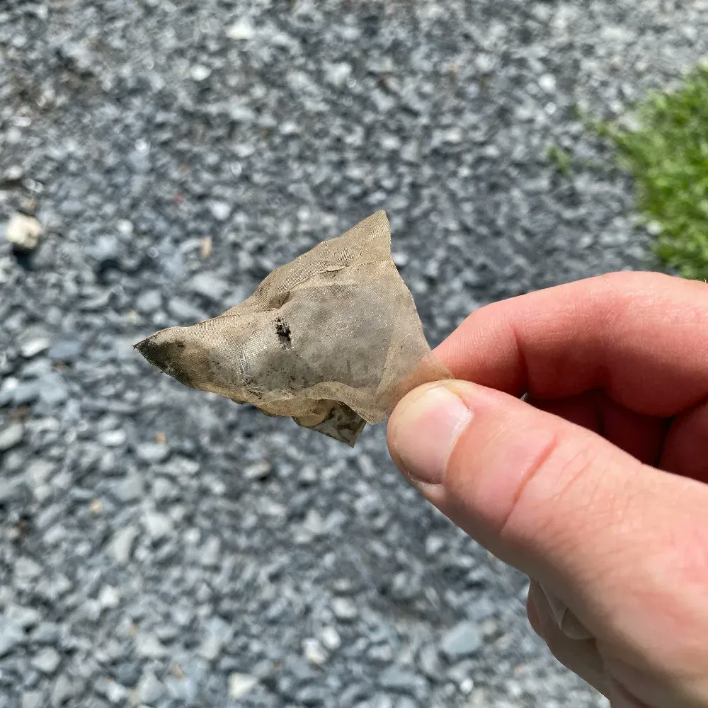 adkwormfarm's tweet image. Tea leaves are #compostable but unfortunately some tea bags are made of plastic and won&apos;t break down. If you can&apos;t rip the bag, it goes in the garbage, not the compost bucket. #compostingtips #zerowaste #teadrinker #curbsidecomposting #wormfarm #compost