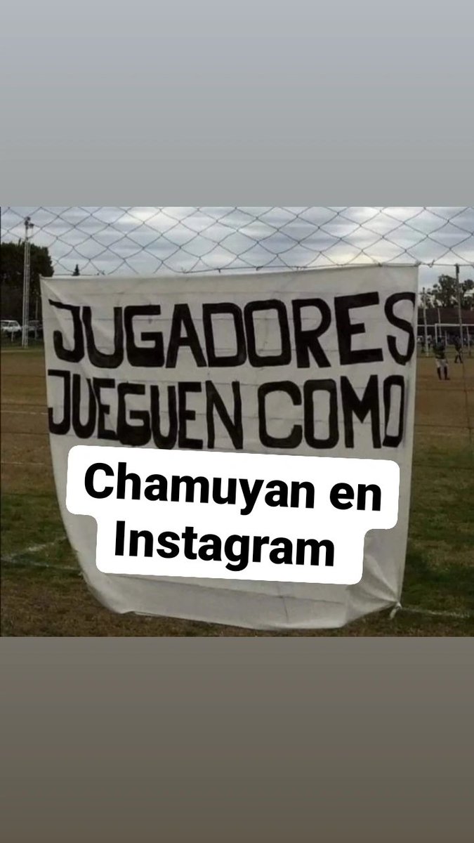 🇾🇪 tweet media