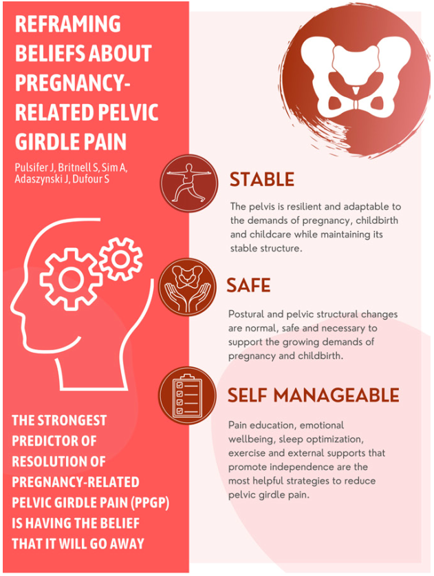 PhysioMeScience's tweet photo. Reframing beliefs and instiling facts for contemporary management of pregnancy-related pelvic girdle pain

😍👇👇👇

https://t.co/mkN5gZifVx https://t.co/GDlroDZoM9