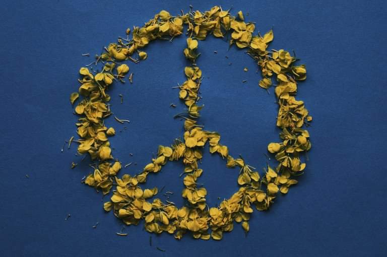 Diakonisches Werk Hannover tweet media