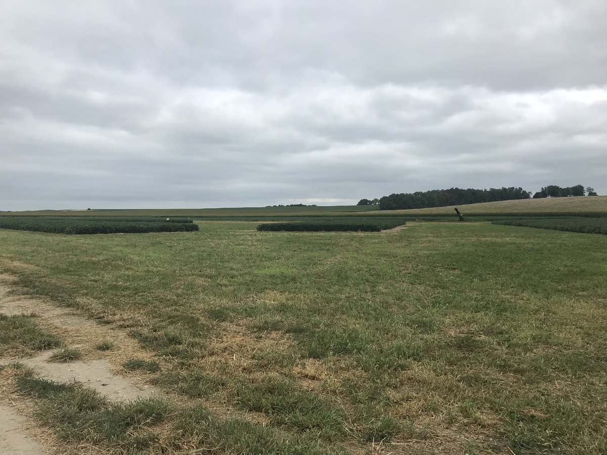 SAREMAN (@glesoing2) on Twitter photo Tomorrow, August 11th, come to Soybean Management Field Days near Brownville at Daryl Obermeyer Farm in Nemaha County. Learn about strategies to improve your profitability for soybean production. Some topics are weed & disease management, cover crops & more <a href="/UNLExtension/">Nebraska Extension</a> Tomorrow, August 11th, come to Soybean Management Field Days near Brownville at Daryl Obermeyer Farm in Nemaha County. Learn about strategies to improve your profitability for soybean production. Some topics are weed & disease management, cover crops & more <a href="/UNLExtension/">Nebraska Extension</a>